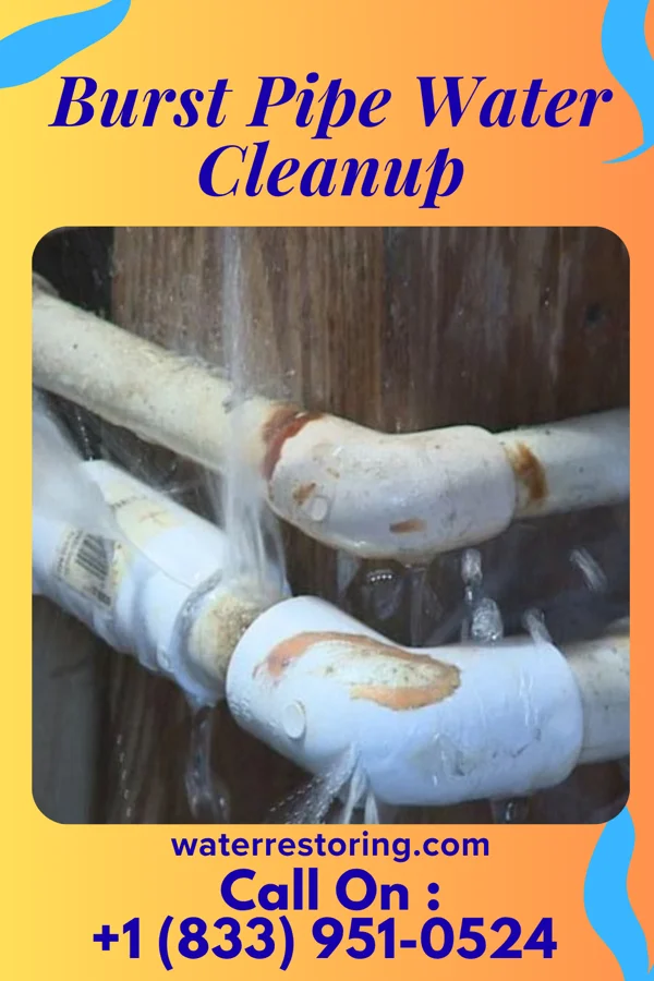 Burst Pipe Water Cleanup in Oxford, MS