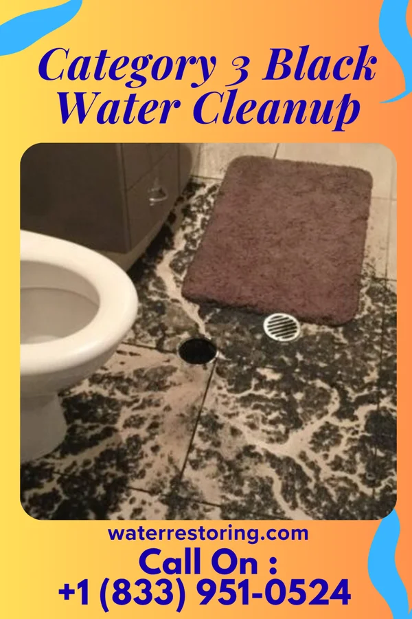 Category 3 Black Water Cleanup in Oxford, MS